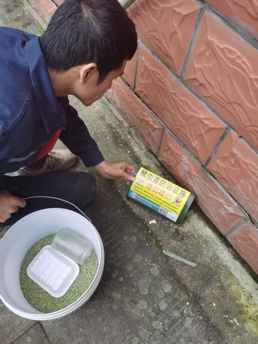 广元除四害